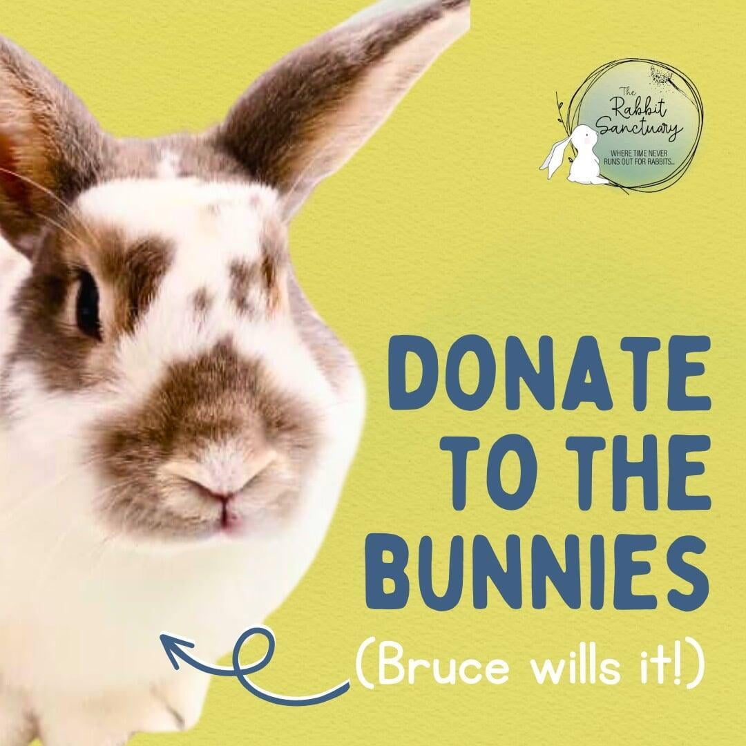 Bruce Willis asks you to donate please