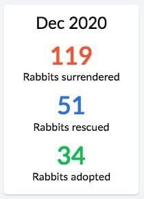 The Rabbit Sanctuary rabbit rescue statistics for Christmas 2020 showing 119 rabbits surrendered, 51 rabbits rescued and 34 rabbits adopted.